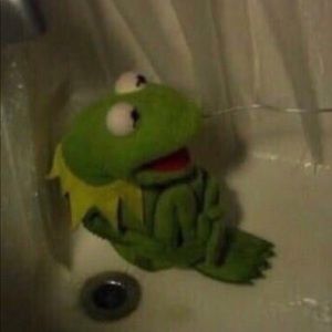 Meet your Posher, Sasha